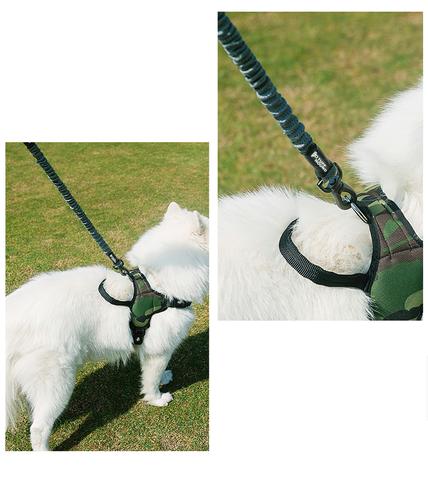 Premium Quality Reflective Hand-Free Durable Anti-shock Dog Leash for Running, Walking | UpperBuddy